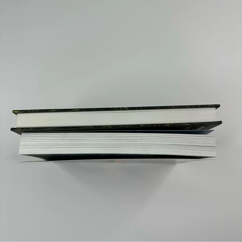 PTSD by Guillaume Singelin And Robo Sapiens by Torranosuke Shimada Lot Of Books‎
